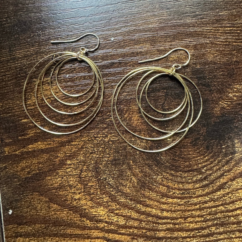 Elegant Gold Hoop Earrings